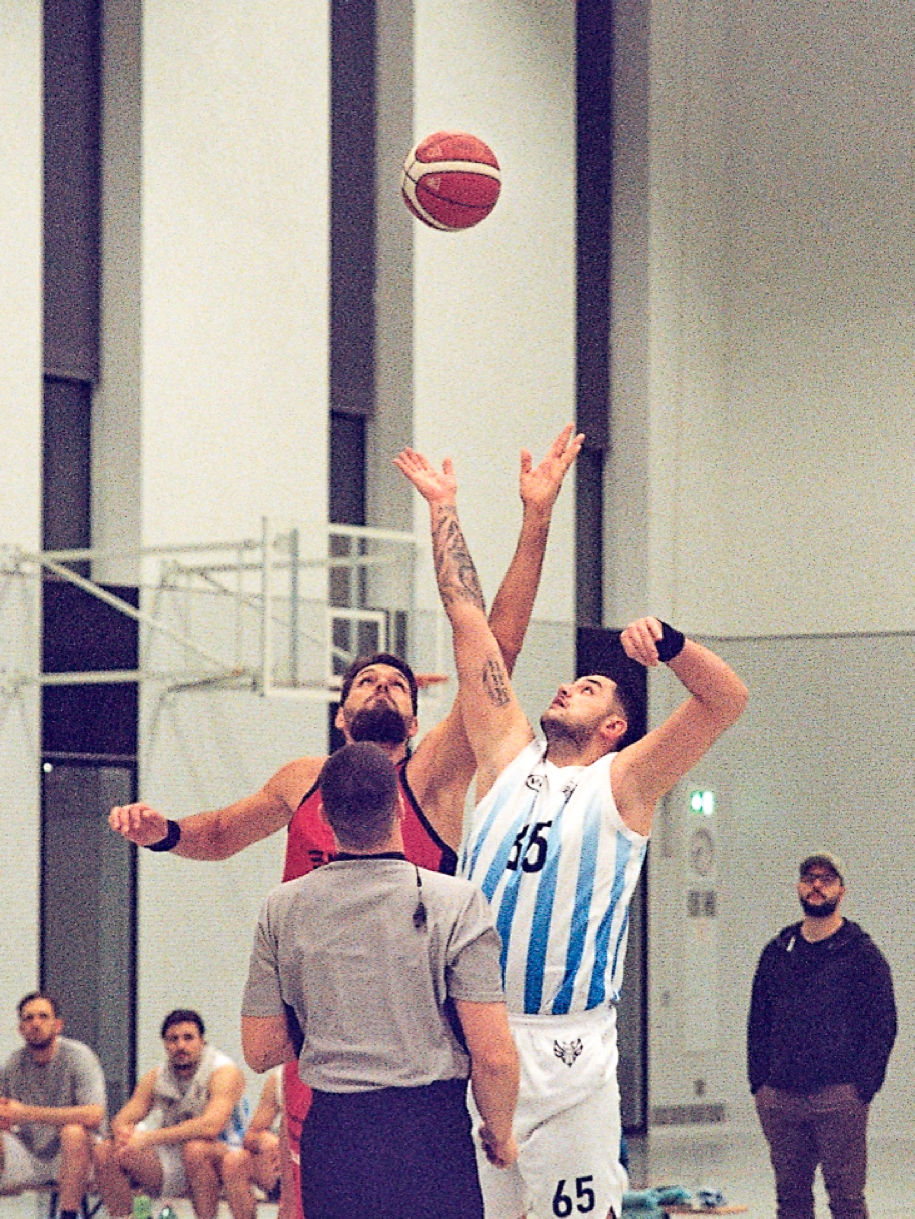 Stingerz Zürich Basketball 1