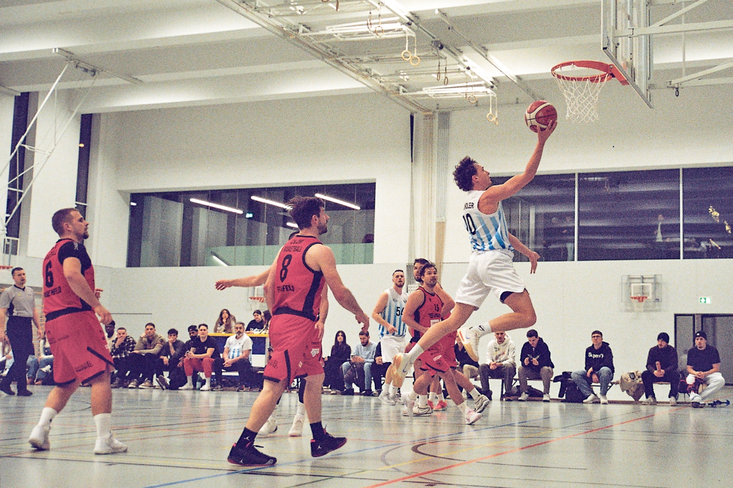 Stingerz Zürich Basketball 9