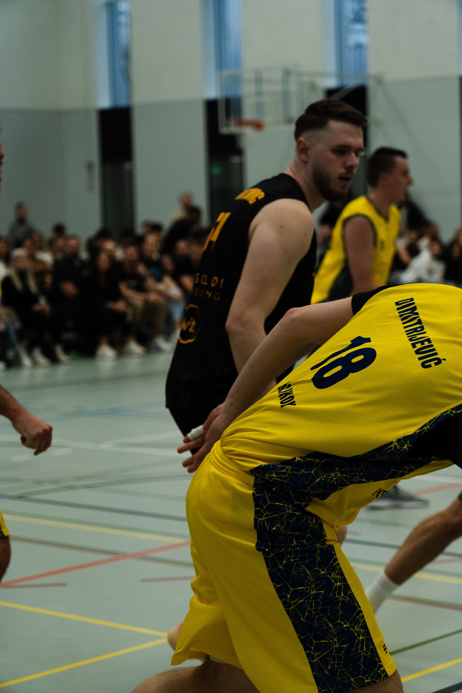 Stingerz Zürich Basketball 21